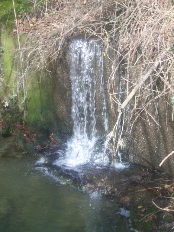 Agriturismo Gelso Castellana Sicula Bagian luar foto